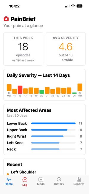PainBrief